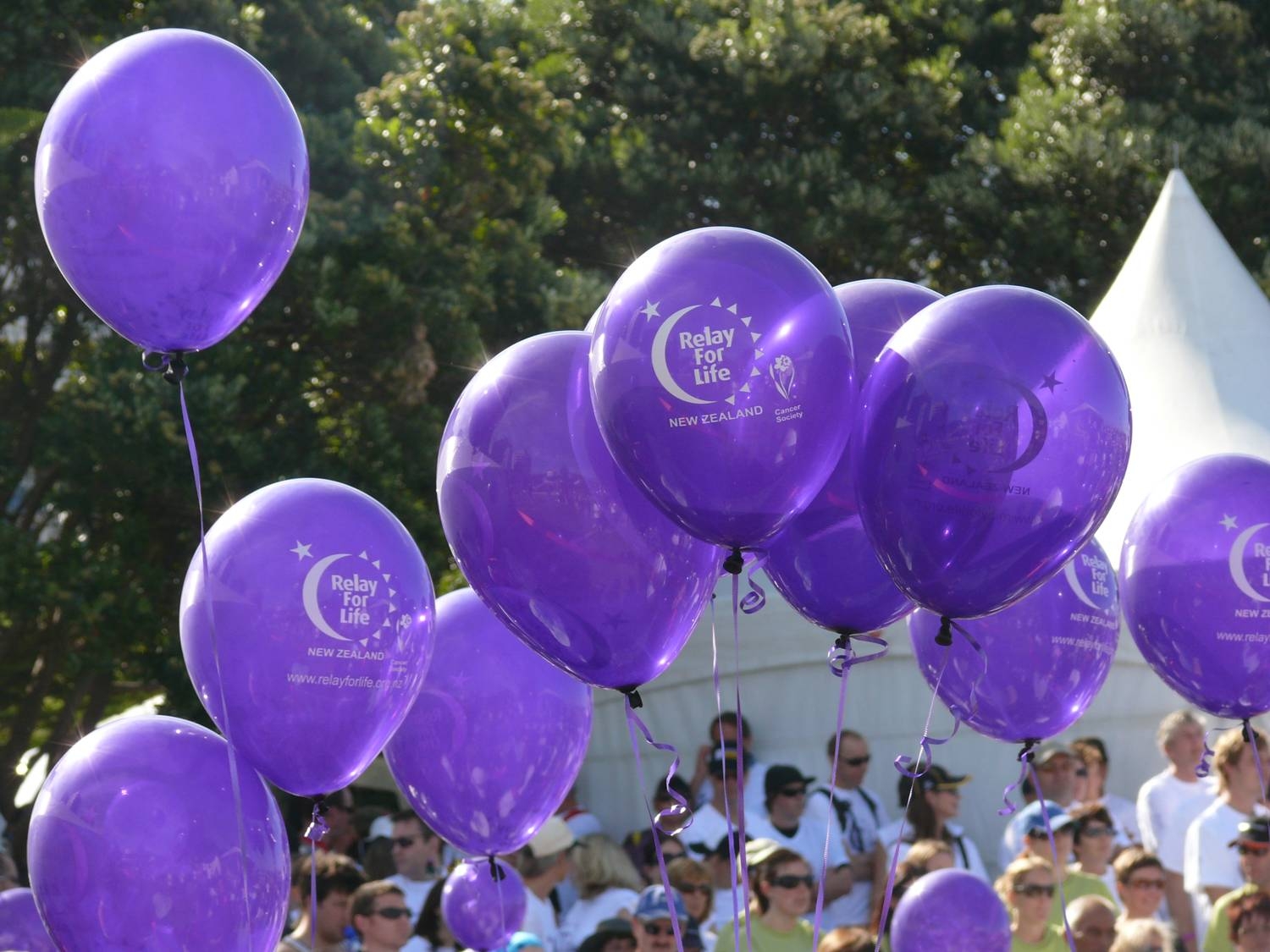 Relay For Life 2015: Saturday, 7 March